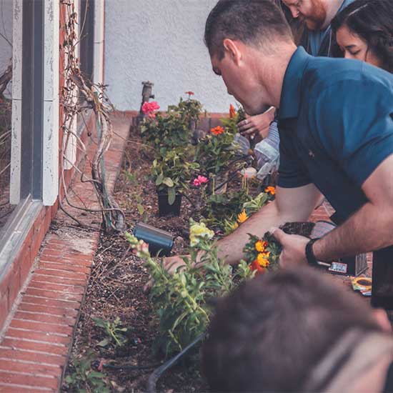 formation jardin anglaise 